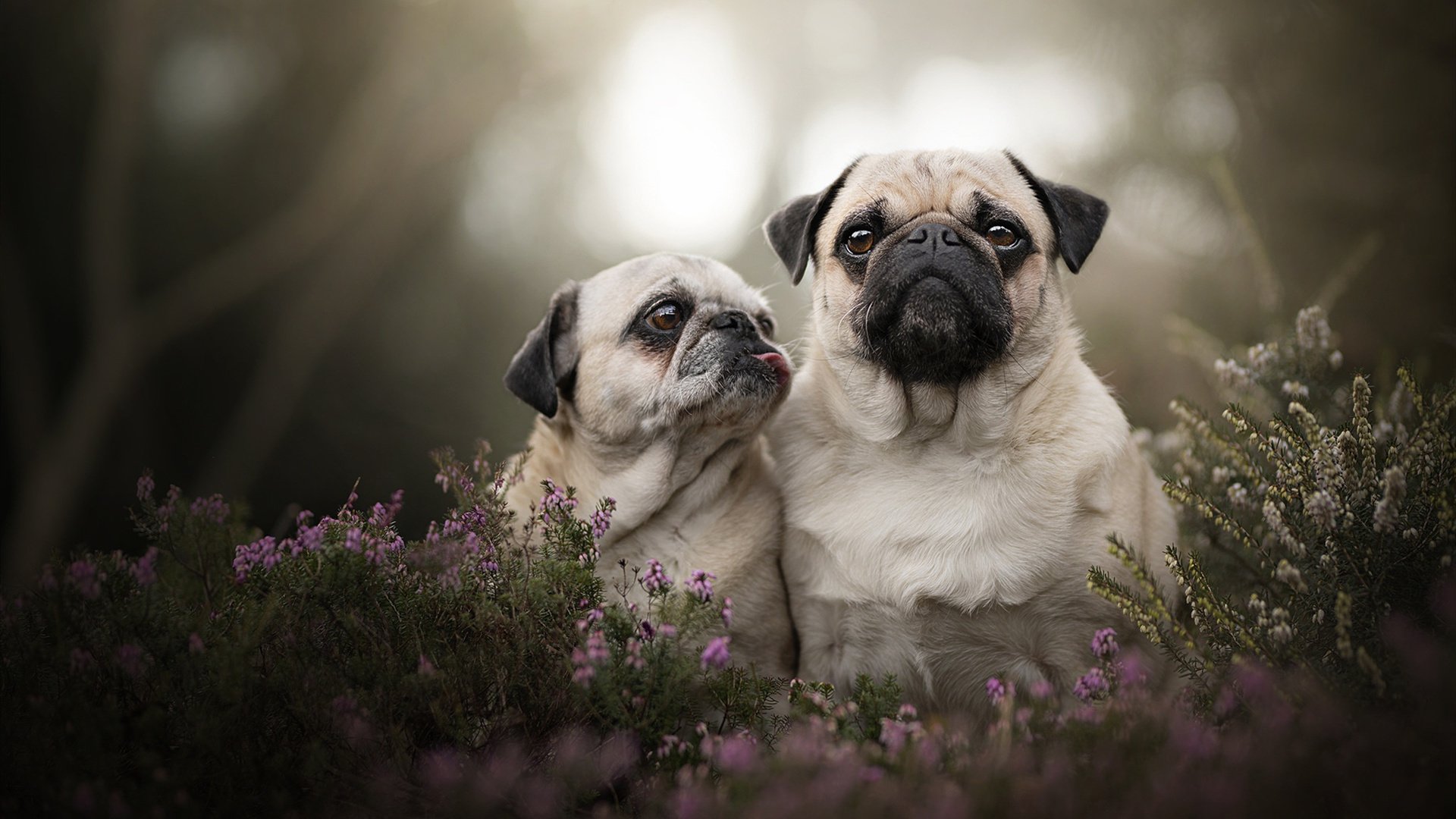 开云体育登入-_乐高运动赛：寓教于乐的创新运动体验_，2020年乐高比赛创意设计