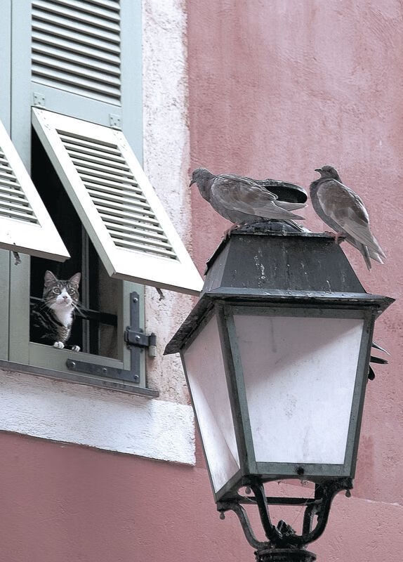 创新比赛模式，“快闪篮球赛”成为城市体育新热点，篮球电竞快闪联赛 - 4x5分钟